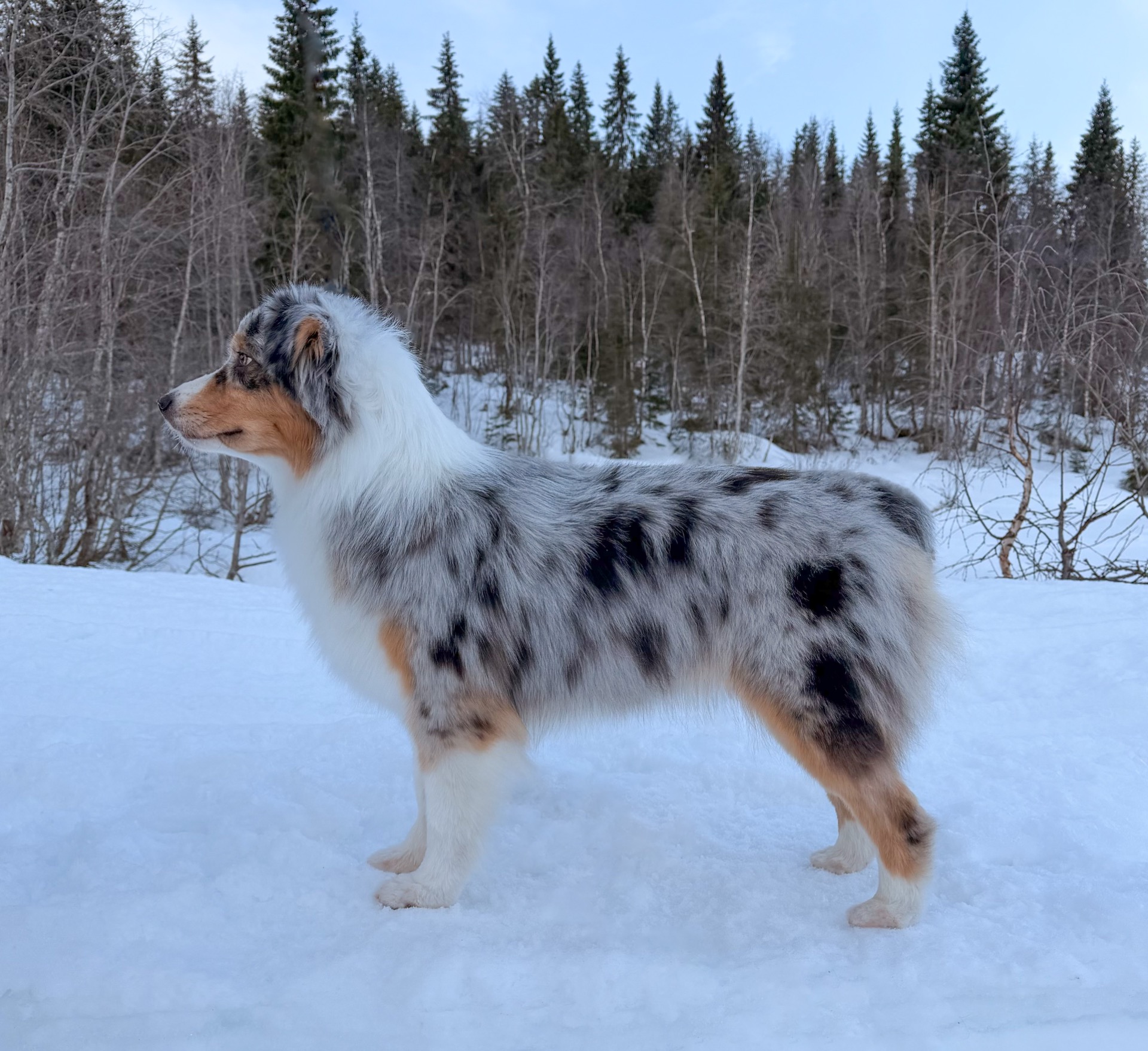 Foto: Renée Vonheim