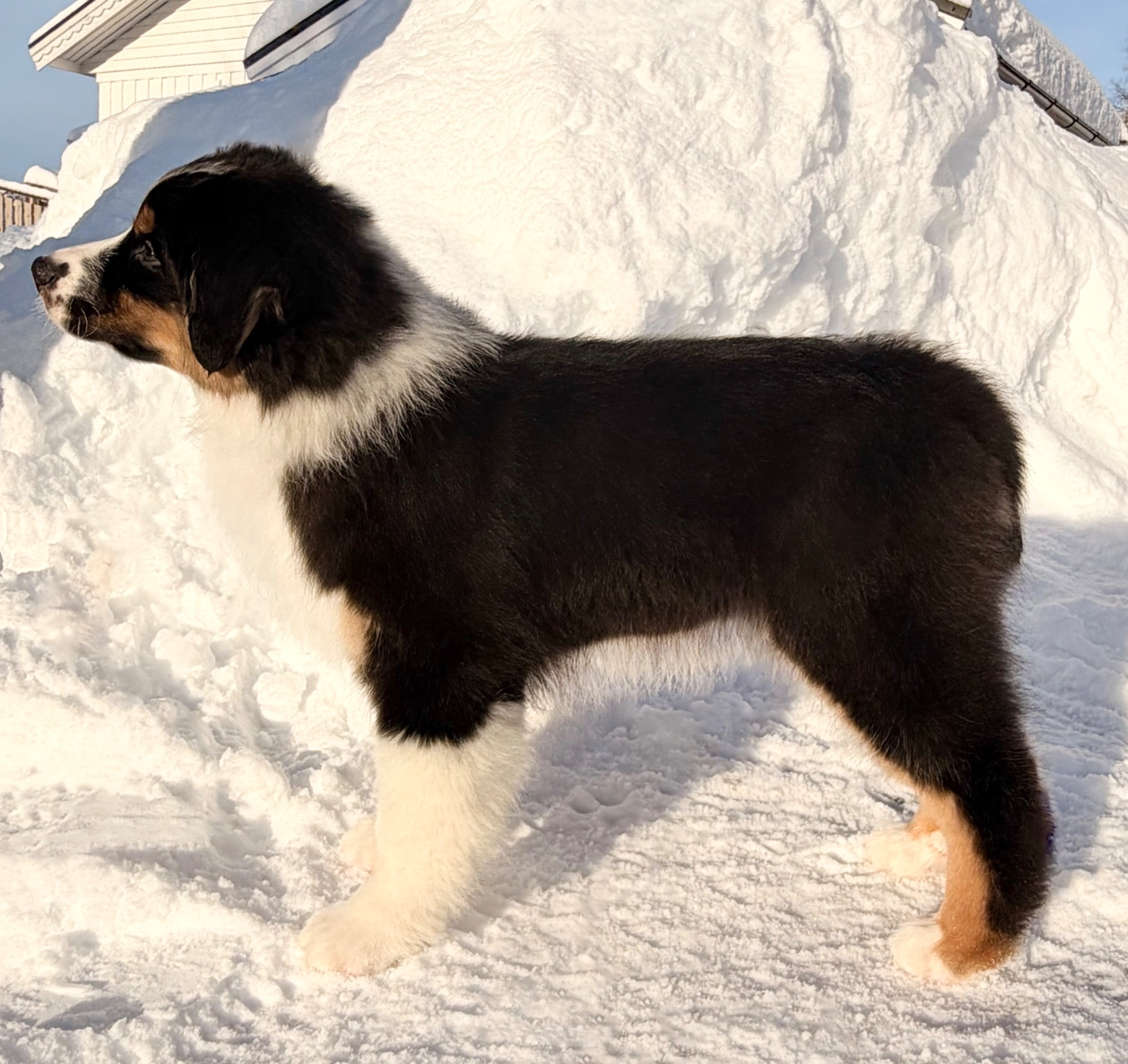 Foto: Renée Vonheim